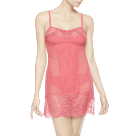 Begonia Slip